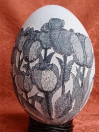 "Tulips In Michagan" - An Emu egg vinegar etched by Satoko Kano